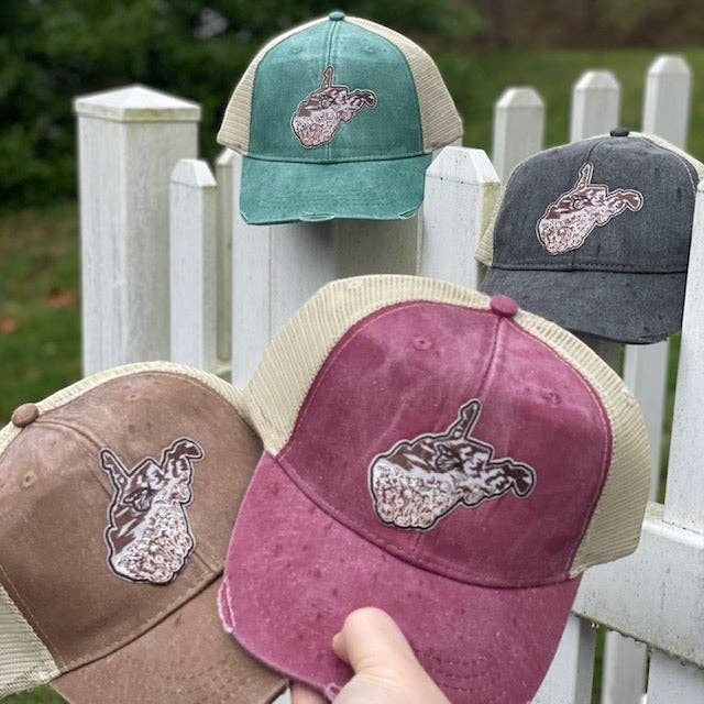 Allen's Bootery distressed trucker hats with West Virginia butterfly patches in green, grey, brown, and maroon.